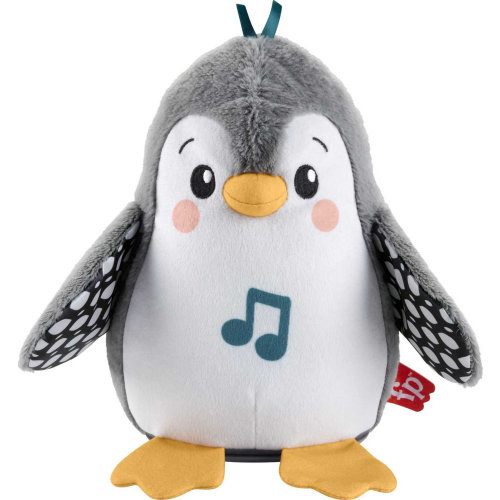 Fisher-Price Baby Explore Infant Sensory Gym, Plush Tummy Time Toy, Flap & Wobble Penguin, Newborn Musical Toy