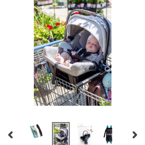 Totes Babies Car Seat Carrier