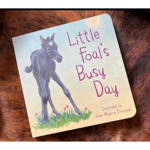 Little foals busy day kids book