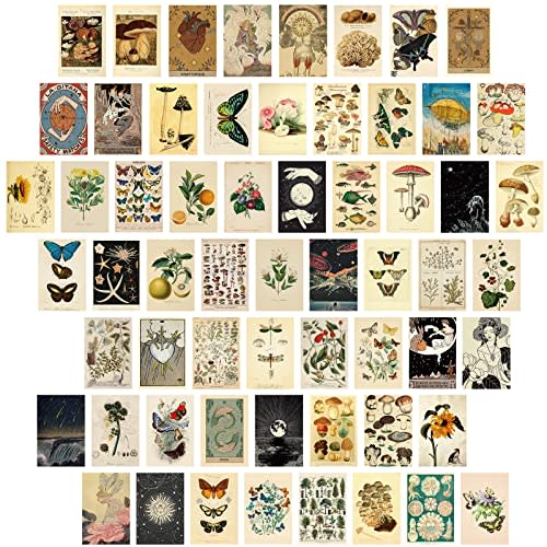 Containlol 60 Pcs Vintage Wall Collage Kit Botanical Illustration Tarot Aesthetic Vintage Prints Cards Photo Wall Collection Aesthetic Collage Dorm Bedroom Decor