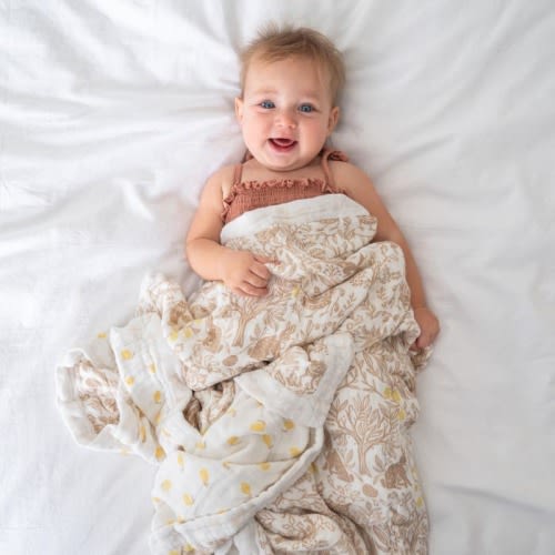 boutique silky soft dream blanket