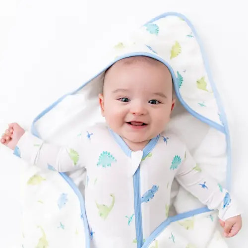 Dinosaur Hooded Towel Set