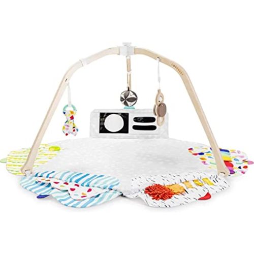 LOVEVERY | The Play Gym | Award Winning For Baby , Stage-Based Developmental Activity Gym & Play Mat for Baby to Toddler