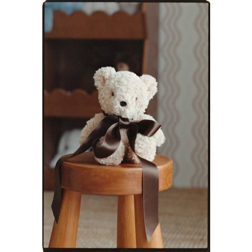 TEDDY BEAR SOFT TOY