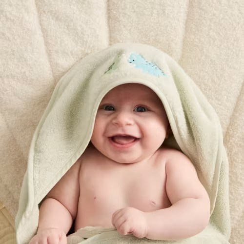 Adairs Kids - Australian Cotton Soft Sage Dino Hooded Towel | Adairs