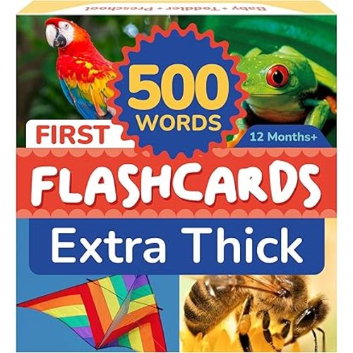 500 Words Thick & Sturdy Learning Flash Cards for Toddlers 1-3 with Rings - 1 Year Old Girl Gifts - Educational & Montessori Toys for 1 Year Old boy - Toddler Flashcards for Preschool & Kindergarten