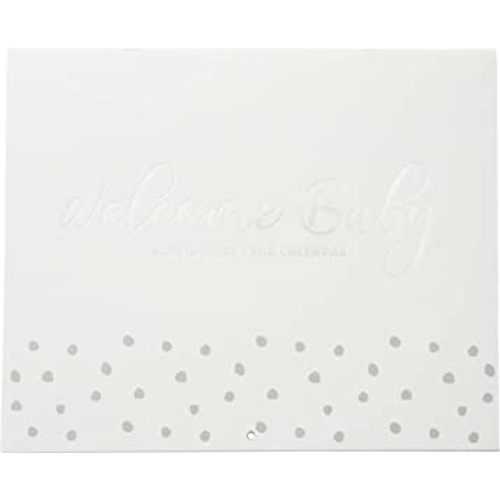 C.R. Gibson BA3-24591 Gender Neutral Welcome Baby's First Year Keepsake Calendar, 11" W x 18" H, Gray and Silver