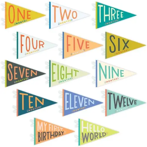 Lucy Darling Petit Milestone Pennants – Little Kaleidoscope