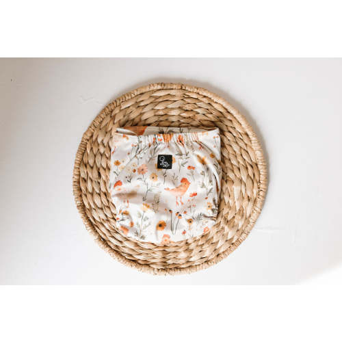 Biddy Reusable Cloth Pocket Diaper