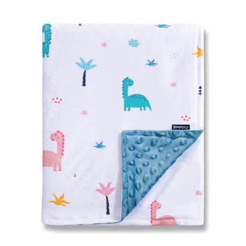 QSTEHEML Baby Blanket Neutral,Super Soft Minky Blanket Unisex, Baby Gifts for Girls Boys,Double Layer with Dotted Backing, Newborn Blankets for Crib Stroller(Dinosaur,30 * 40inch)