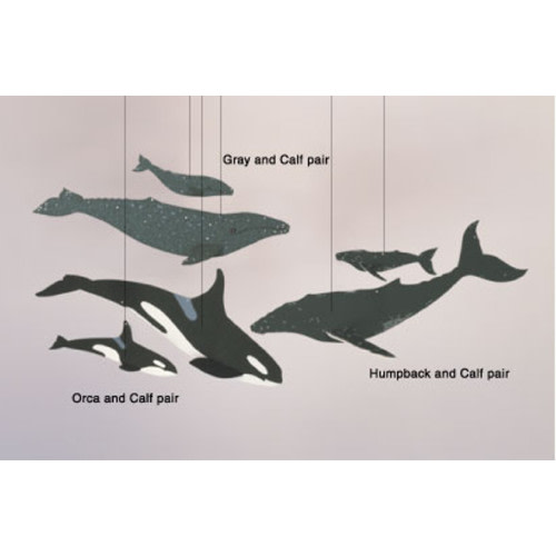 Skyflight Whale Combo Mobile