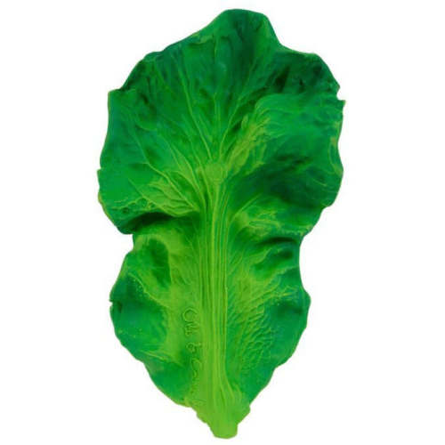 Kendall the Kale Teether - Natural Rubber, Hygienic Design - The Natural Baby