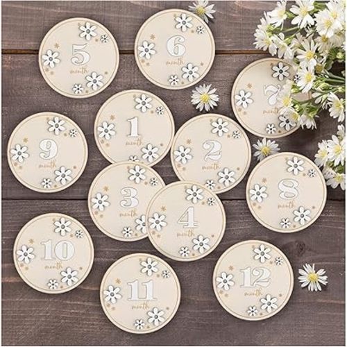 Baby Months Signs, 3D Daisy Wooden Marker Discs Rustic, Baby Party Photo Prop, Baby Announcement Sign, Pregnancy and Baby Growth Monthly Wood Discs 1-12 Months Interchangeable Milepost Card Decor