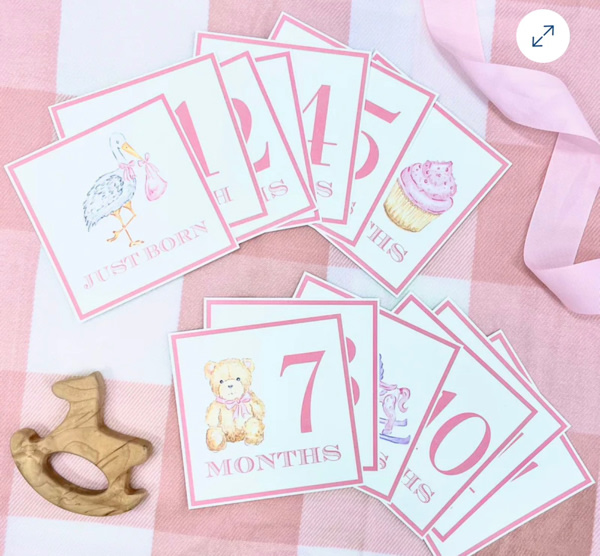 Sir Proper's Month Markers - Palm Beach Pink
