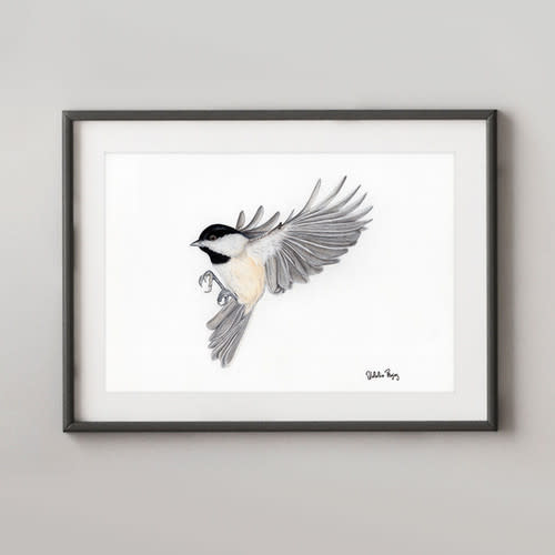 Carolina Chickadee print