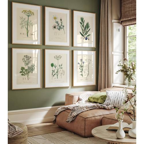 Set of 6 Botanical Print, Set of 6 Vintage Prints, Set of 6 botanical Fern Prints, Modern Flower wall art, Gift print, Home Decor print