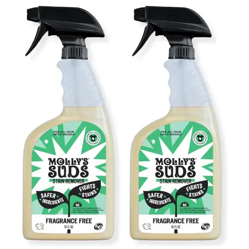 Molly's Suds Stain Remover Spray | Gentle Yet Powerful, Great for Baby & Pet Stains | Clean, Simple Ingredients (Fragrance Free) (16 Fl Oz (Pack of 2))