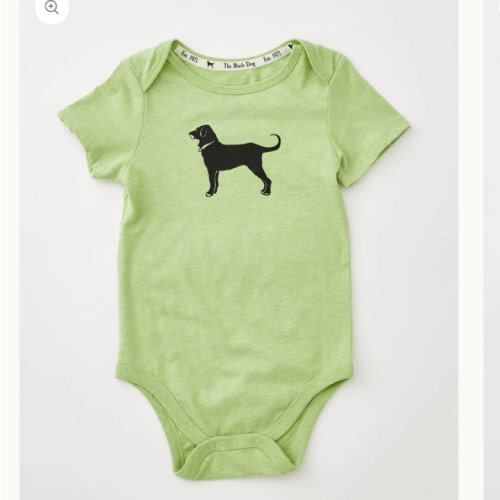 Lil Kids Classic Shortsleeve Onesie – The Black Dog