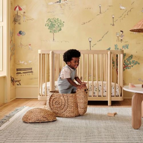 Snail Basket