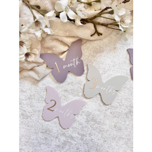 Monthly Milestone Disc, Butterflies, Gift for Baby Girl, Milestone Set, Baby Announcement, Newborn Photo Prop, Milestone set for baby girl