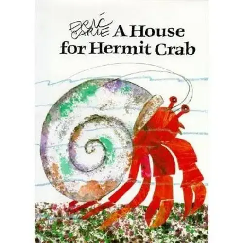 a house for hermit crab - Google Search
