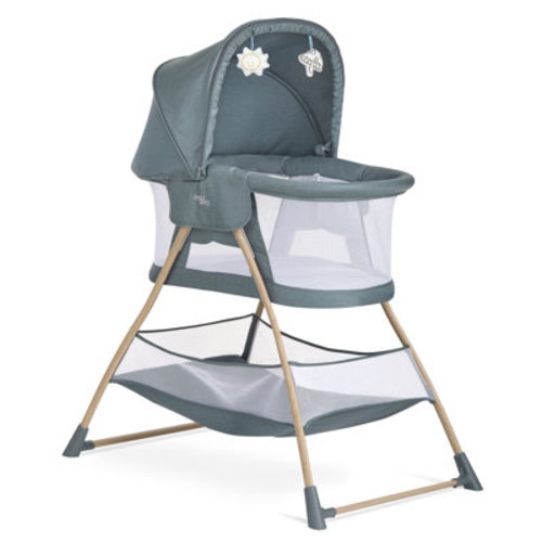 Evolur Cozy Dreamer Bassinet | Wayfair