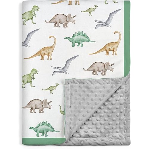 SANDJEST Dinosaurs Blanket for Boys - 30 x 40 Minky Kid Blankets Gift for Kids on Christmas Birthday