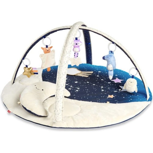 Skip Hop Celestial Dreams Activity Gym, Multi