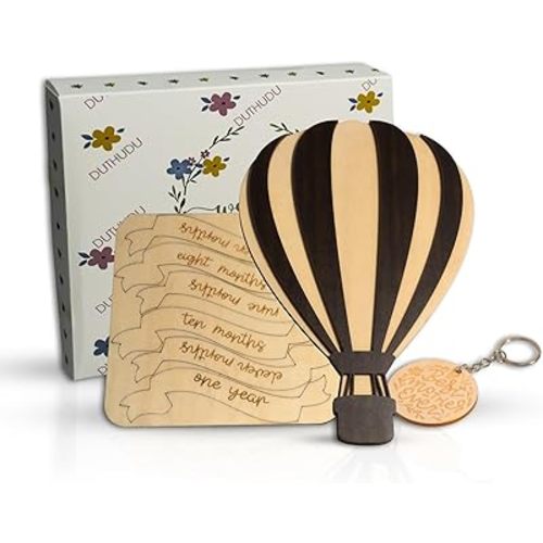 Monthly Baby Milestone Signs - Baby Monthly Milestone Wooden Circles for 1-12 Month Photos & Gender Neutral Announcement Cards (Air Balloon)