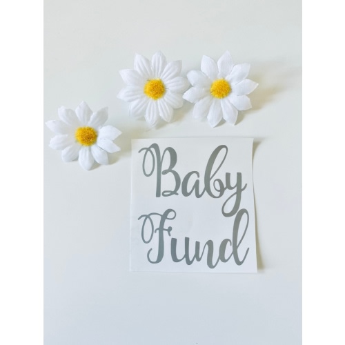 Savings fund for our baby girl.