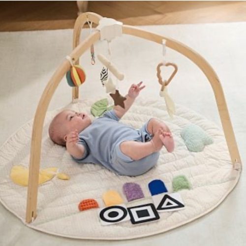 Interactive Activity Gym