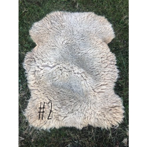 Genuine Sheepskin Rug, Hand-Tanned Rare Breed Tunis Cross Fleece Rug or Chair Cover, Authentic Tennessee-Raised Sheepskin — Solace Farm Homestead