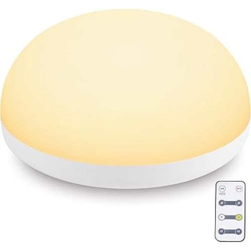 Baby Night Light,Touch Control Night Light for Baby Nursery with Remote and Timer - Rechargeable and Portable Night Light for Breastfeeding,Dimmable Nursery Light with 2 Color Modes