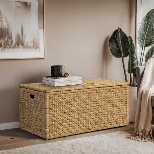 Bay Isle Home™ Heavy-duty Water Hyacinth Wicker Storage Trunk with Metal Frame & Reviews | Wayfair