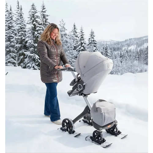 OX Polar Skis
