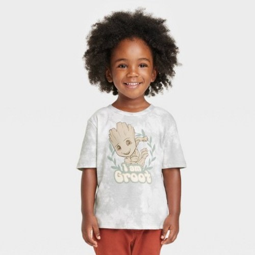 Boys' Marvel Groot Short Sleeve Graphic T-Shirt - Off White, Size: Toddler3T