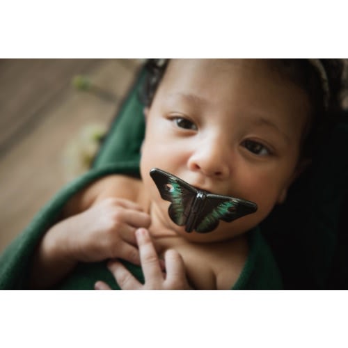 Baby Pacifier