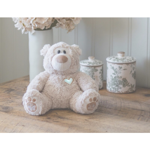 Musical Teddy Bear | Scripture Lullabies