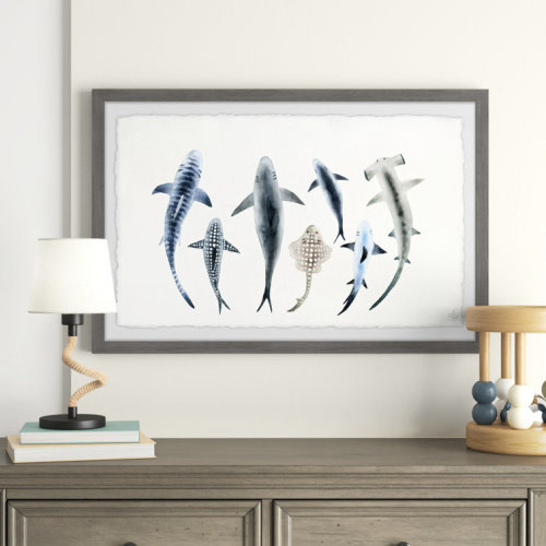 Saugatuck Shark Types II Framed Art