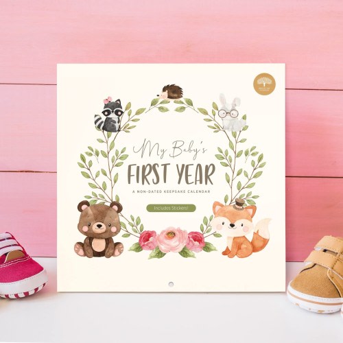 1st Year Tracker - First Year Book - Journal Album to Capture Precious Moments - Milestone Keepsake for Baby Girl or Boy - Includes Stickers