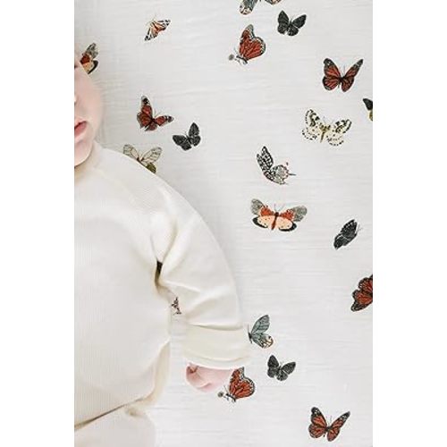 Amazon.com: Clementine Kids Crib Sheets (Butterfly) : Baby