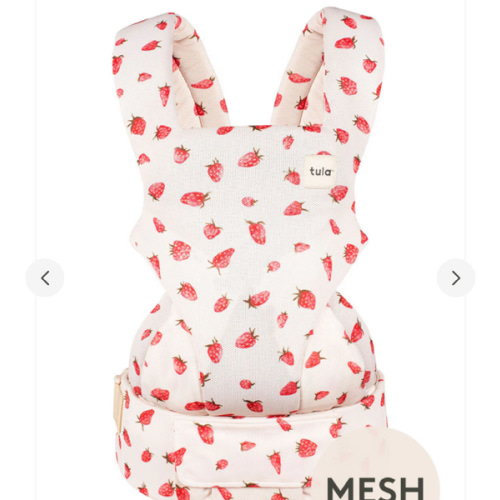 Strawberry - Mesh Explore Baby Carrier – Baby Tula US