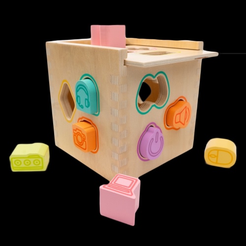 Shape Sorter Toy