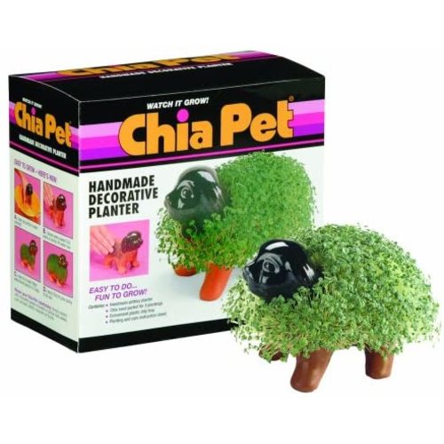 Chia Pet Puppy with Seed Pack, Decorative Pottery Planter, Easy to Do and Fun to Grow, Novelty Gift, Perfect for Any Occasion