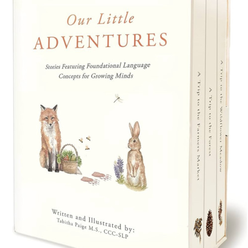 Our Little Adventures: Stories Featuring Foundational Language Concepts for Growing Minds (Tabitha Paige Children's Book Series)