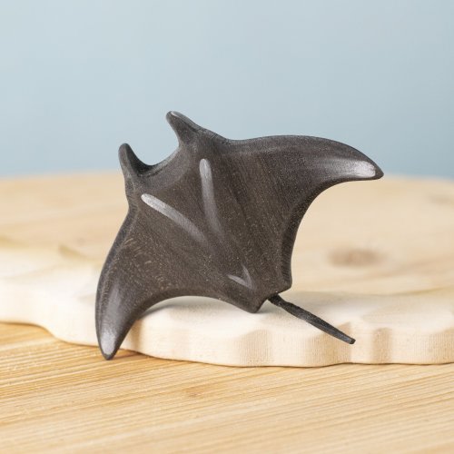 Reef Manta Ray