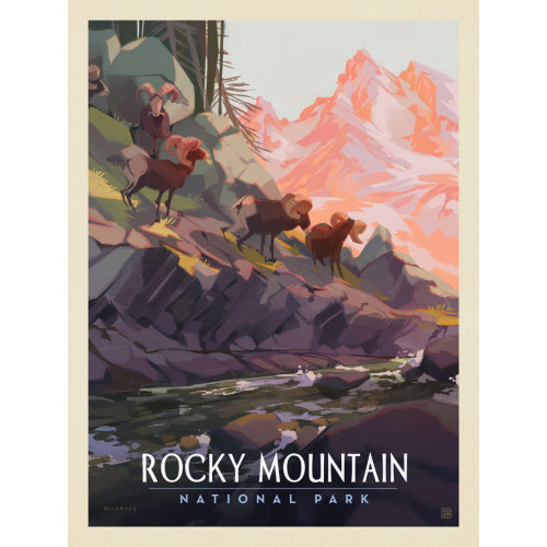 Rocky Mountain National Park: Bighorn Sheep Herd