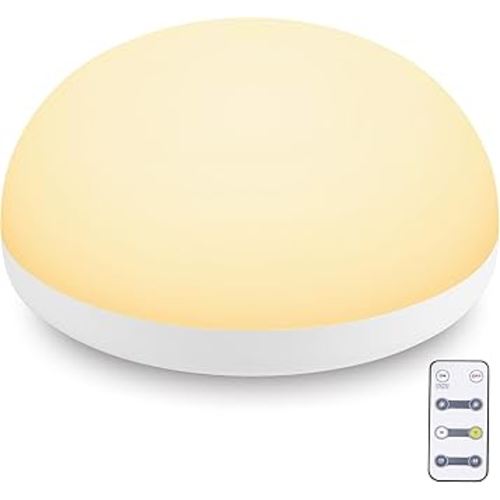 Baby Night Light,Touch Control Night Light for Baby Nursery with Remote and Timer - Rechargeable and Portable Night Light for Breastfeeding,Dimmable Nursery Light with 2 Color Modes