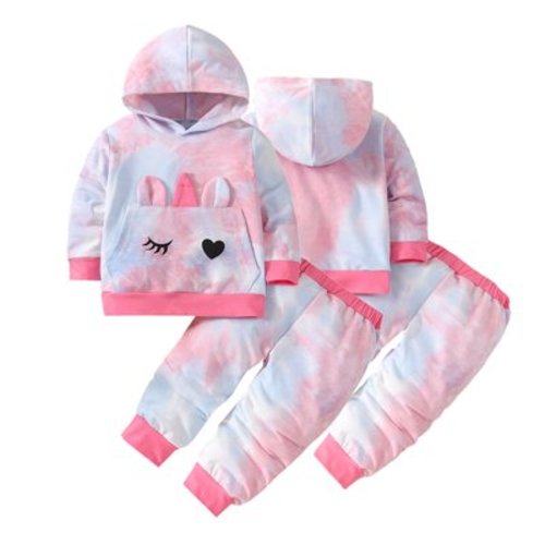 Esaierr Baby Girls Winter Clothes Set Newborn Hoodie Sweatshirt Pants Outfit Set Comfortable Cotton Long-Sleeved Thickened Clothes Set for Infant 3M-24M