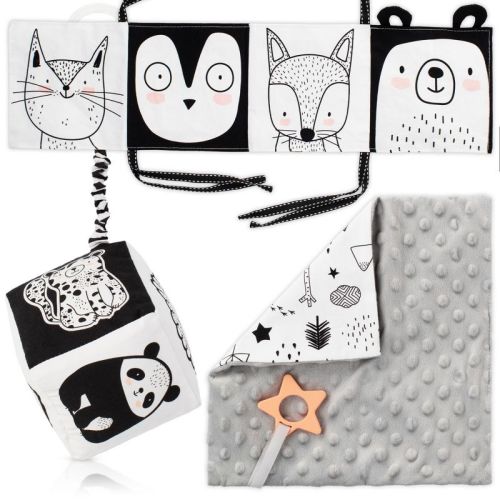 Tummy Time Toys Set: High Contrast Book, Toy Block, Crinkle Paper & Teether - Sensory Development Toys For Newborns & Infants 0-6 Months